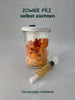 Cordyceps-Zuchtglas – dein eigener Zombie-Pilz