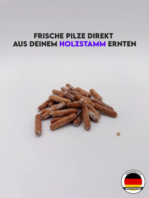 Pilzdübel 50x