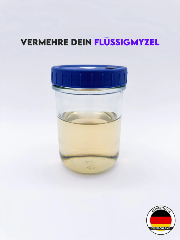 MycoGlas