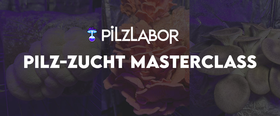 Pilzzucht Masterclass