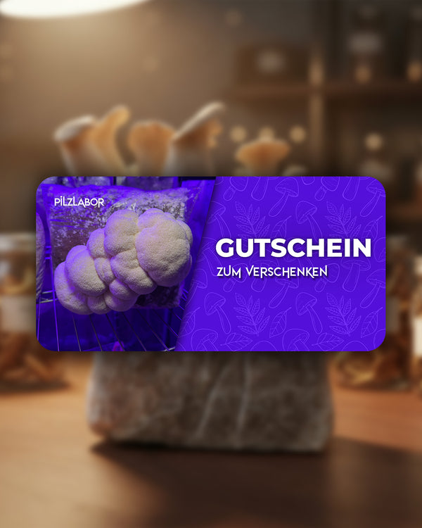 Pilzlabor-Gutschein