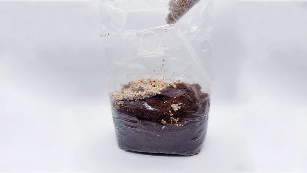 Substrate